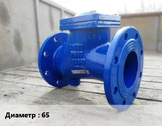 Клапан стальной 65 Ру16 обратный, поворотный, двухстворчатый